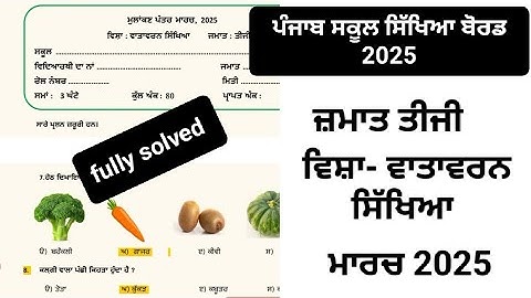 Class 3rd ,EVS sample paper 2025,pseb , solution