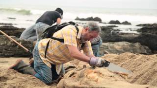 Mission Science Workshop - Whale Week