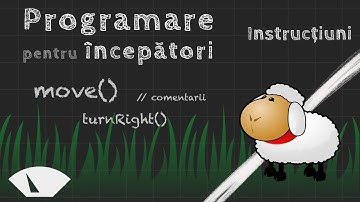 Primele Instrucțiuni - Curs de programare pentru începători 2/5