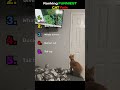 Ranking FUNNIEST Cat FAILS