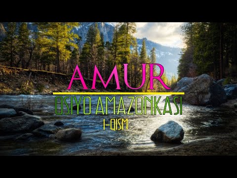 "Amur - Osiyo Amazonkasi" 1-qism - Dunyo bo'ylab TV