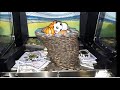 DO WE WIN $40,000 OR GET TOSSED OUT OF THE GAME? WE GIVE IT OUR ALL AT BARTLEY STADIUM! PART ONE!