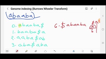 Genome Indexing (Burrows Wheeler Transform) with Suffix array and LF Mapping