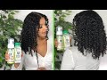 CURLS The Green Collection Review and Curly Hair Wash N Go Demo