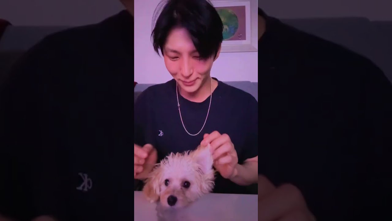 (Leo) 251124 인스타 라이브 IG Live 