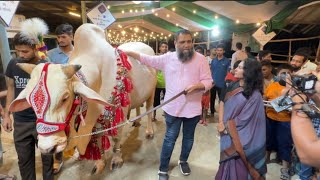 ইমরান ভাইয়ের কুরবানির গরু ২০২৩ | সাদেক এগ্রো নাম দিয়ে পাকিস্তান থেকে মালা আনা হয়েছে | Big cow