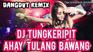 TUNGKERIPIT AHAY TULANG BAWANG DANGDUT REMIX FULL BASS VIRAL TIKTOK || H.Roma Irama || Noer Halimah