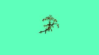 [FREE] Freestyle Trap/Rap Beat "Plant" | Instrumentals/Beats 2020 (Guitar)