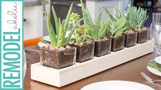 This wood and glass centerpiece planter is a simple build that will give your table or mantel a lovely modern style. Perfect for 