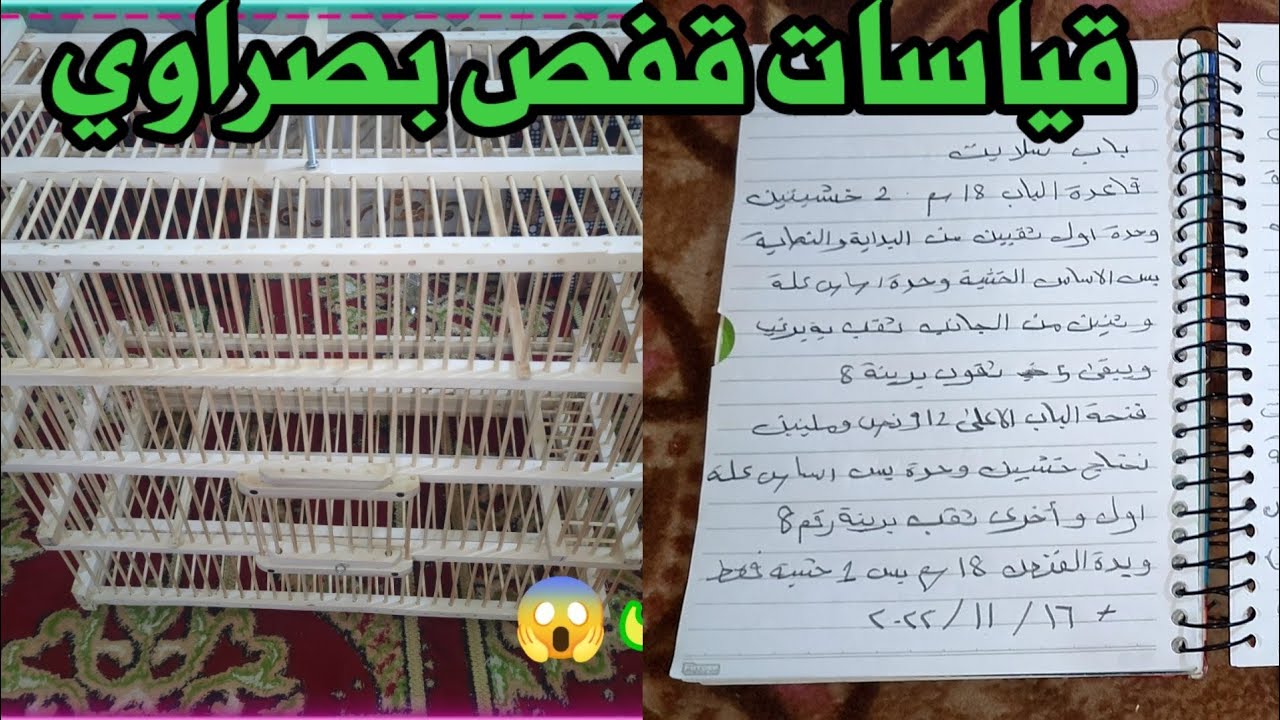 قياسات قفص بصراوي الأصلي