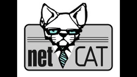 Ten Minute Tutorials : Netcat Basics
