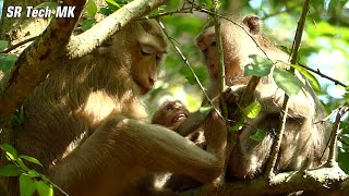 My god..! Mum Rose wa-rned boy Brady so h-ard while she talking  with baby Aleah, Brady h-ungry milk