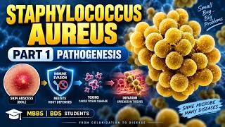 Staphylococcus aureus part 1| MBBS & BDS | Dr. Arul Selvan K