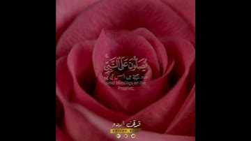 🌺اللهم صل على محمد🌺🍃 سورة الأحزاب:٥٦✨ أحمد النفيس|Surah Al Ahzaab:56|Ahmad al Nufais