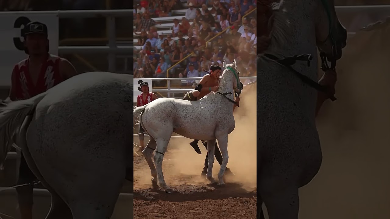 Indian Relay Races 
‌📸 Brittney w/ Canadian Cowgirl Corp
‌