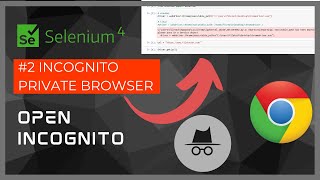 SELENIUM: How to OPEN With Incognito PRIVATE BROWSER Chrome #2 screenshot 5