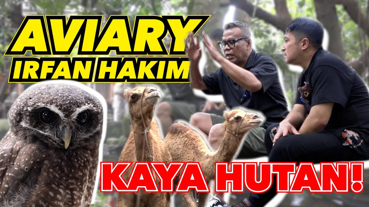 ABDEL VLOG - MASA DI DALEM RUMAH ADA UNTA!?