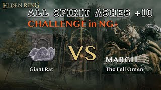 【CHALLENGE in NG+】Giant Rat vs MARGIT【All Spirit Ashes+10】 Information