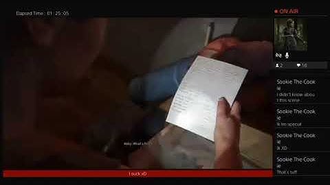 TLOU 2 Abby survivor ng+