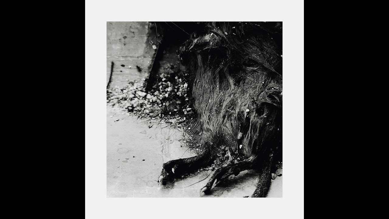 Sleduj Nihil - Banal Existencia (EP) na YouTube Sleduj Nihil - Banal Existencia (EP) na YouTube