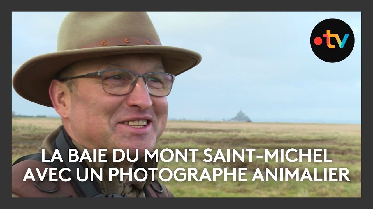 Promenade de la baie du Mont Saint-Michel avec un photographe animalier
