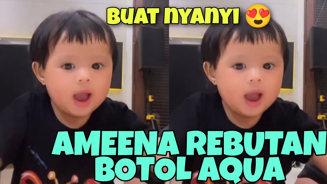 Puncak Acara Ameena Rebutan Aqua Sama Papa Buat Nyanyi Youtube