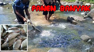 Download Lagu Menangkap Ikan Di sungai Jernih dengan setrum ikan MP3
