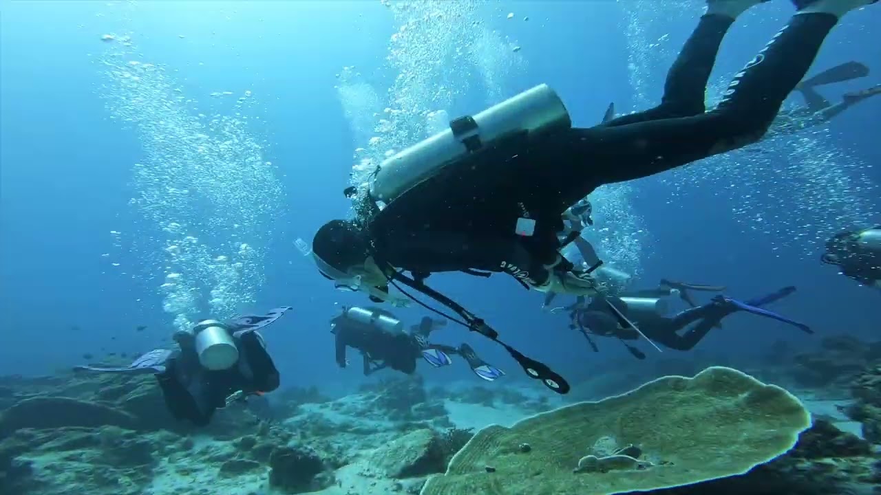 SAILING INDONESIA: DIVING RAJA AMPAT