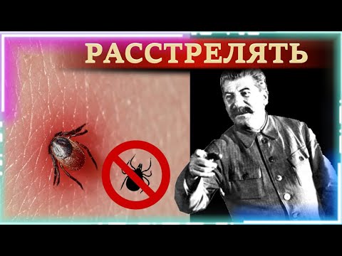 Почему в СССР не было КЛЕЩЕЙ...?