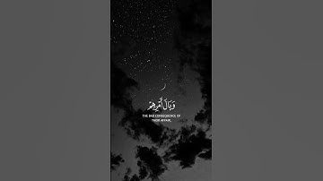 ألم يأتكم نبؤا الذين كفروا  🤍|  القارئ صلاح الباجي🎧❤️🌿