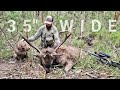 Insane sambar stag hunt 300 rum  joshs new pb gunwerks rifle