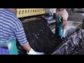 Himolla  la production du cuir