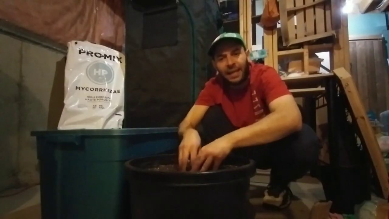 21+only..How to set up the soil and dry amendments for our autoflower grow,part 2