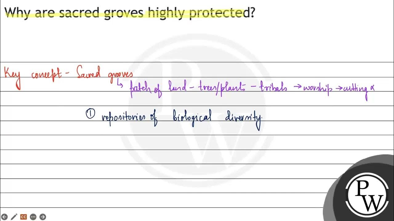 why-are-sacred-groves-highly-protected-youtube