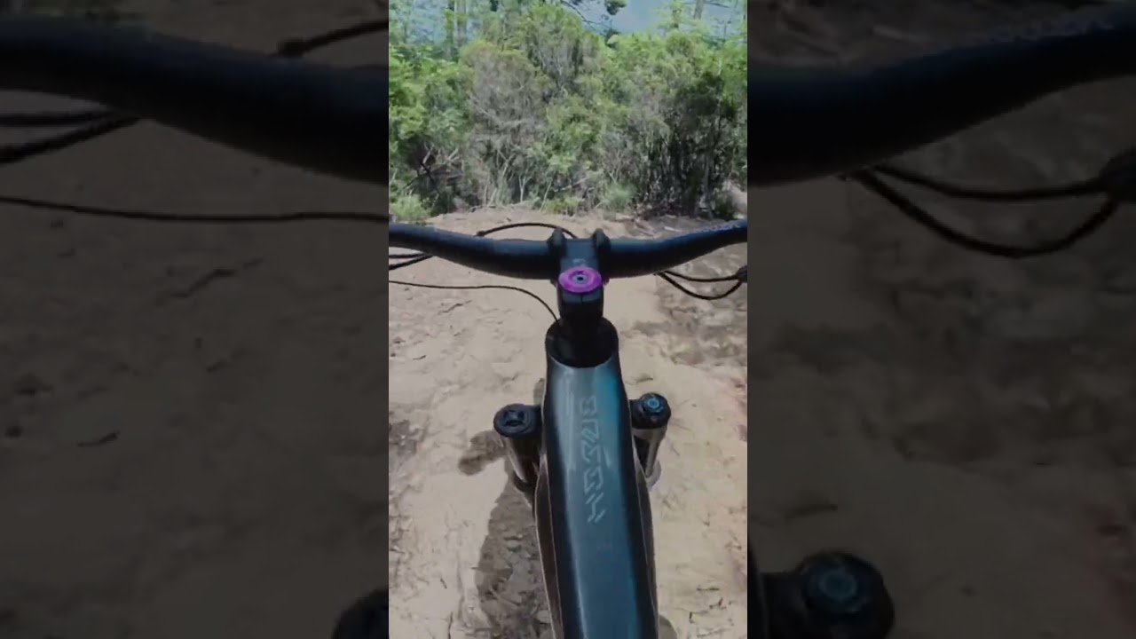 Linienwahl? Pino Morto Finale 