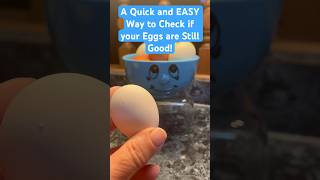 π₯ π Check Your Eggs to See if Theyβre Safe to Eat! #eggs #fresheggs