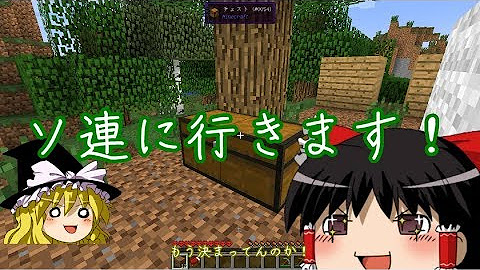 ハピ Hapi Youtube
