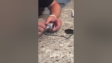 Motone turn signal with fork brackets