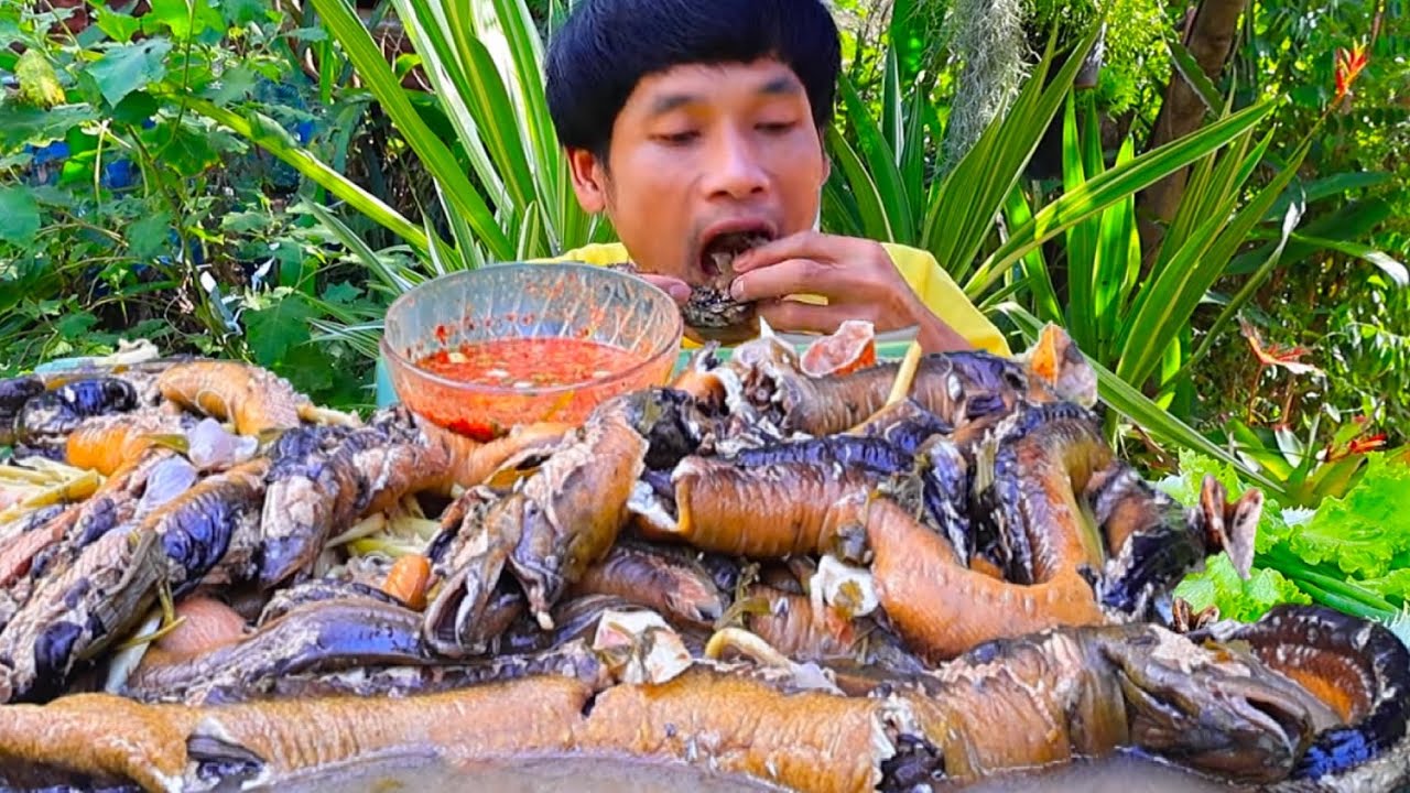 ต้มปลาไหลซดฮ้อนๆจิ้มแจ่วข้าวคั่วแซ่บคักอีหลีครับพี่น้องMUKBANG EATING SHOW/โก้อีสานพาแดก
