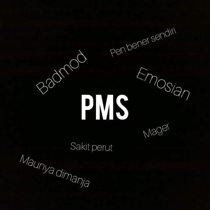 Story wa PMS:v