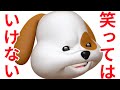 【フィッシャーズ完コピ】笑ってはいけないアニ文字がツボに入ってしまったw