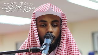 Yahya Raaby Amazing Qur'an Recitation  | Surah Ankabut | | Masjid al-Humera HD
