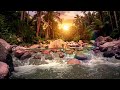 🎸 Slow Acoustic Guitar Ambient 🌿 Cozy Relaxing Music with Peaceful Nature Sounds #relax #peace