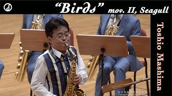 海鷗 Youtube 海鷗 Youtube