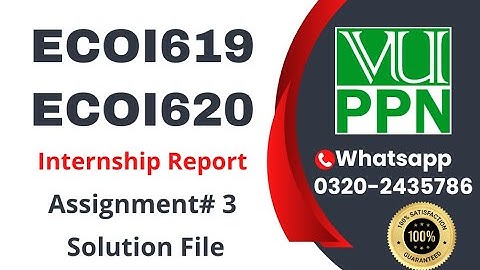 ECOI619 / ECOI620 Assignment # 3 solution fa2024 internship report #ecoi619 #ecoi620 #vu ##ecoi620