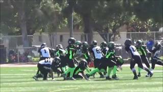 2016 SAINTS NSFS PEE WEE WEEK 1