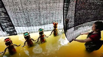 Phía sau màn múa rối nước Việt Nam - chưa bao giờ thấy trước
