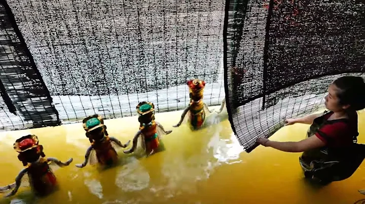 Vietnamese Water Puppet Show - Behind The Scene - Never Seen Before - Vietnam Travel Blog - DayDayNews