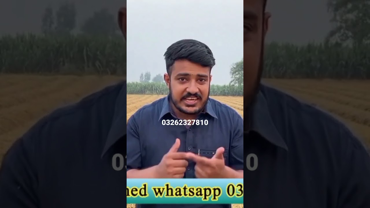 G1 Garlic Seed Rate in Pakistan