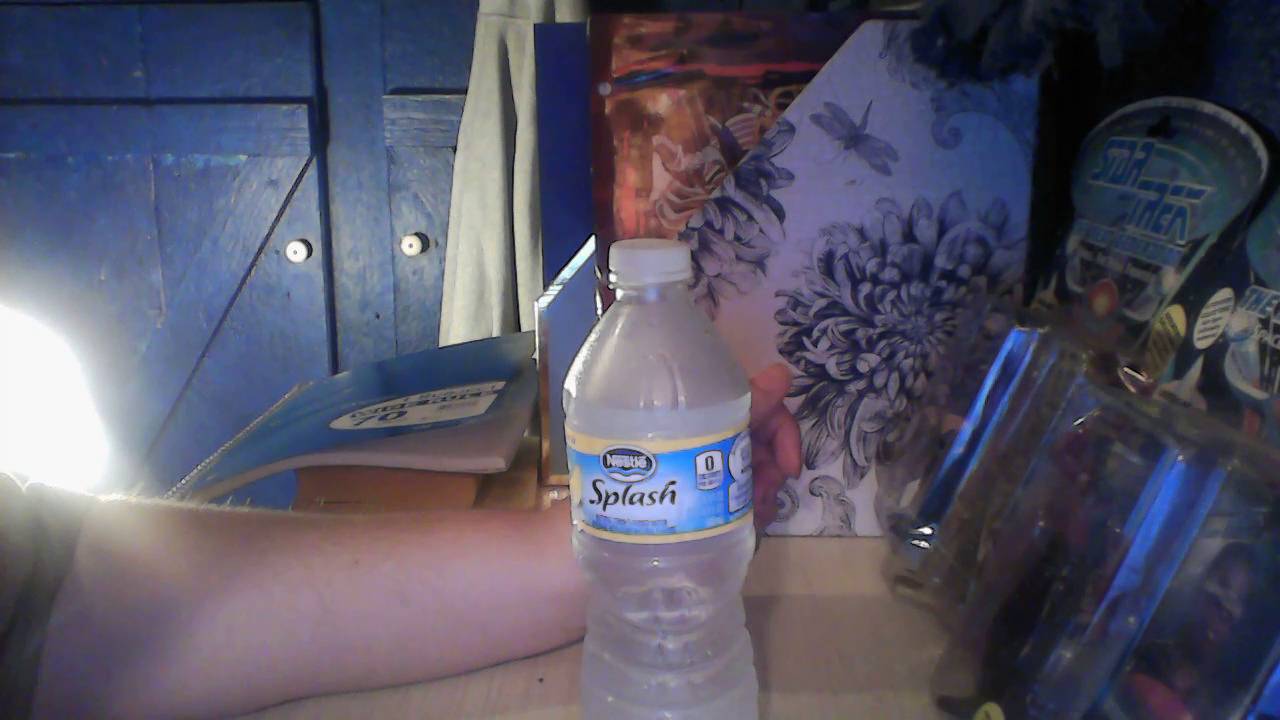 Nestle Lemon Splash Water Review!